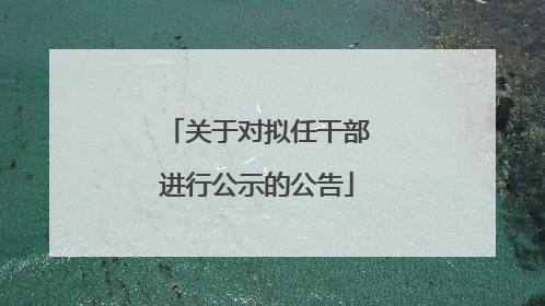 关于对拟任干部进行公示的公告